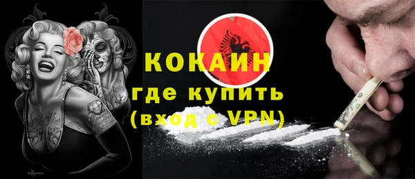 шишки Краснотурьинск