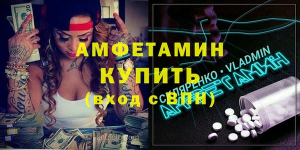 прущие грибы Костерёво