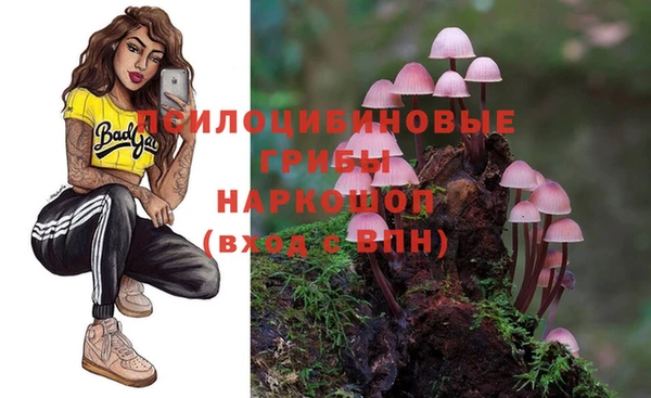ешки Красноперекопск