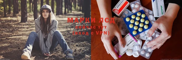 прущие грибы Костерёво