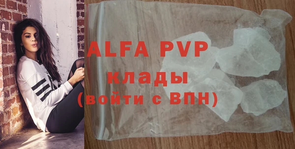 прущие грибы Костерёво